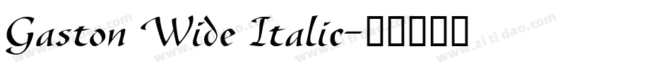 Gaston Wide Italic字体转换